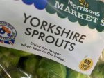 sprouts.jpg