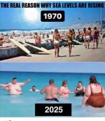 15d75113-6cad-442c-86b7-50b25193a8f2.jpeg